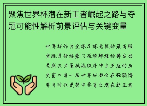 聚焦世界杯潜在新王者崛起之路与夺冠可能性解析前景评估与关键变量